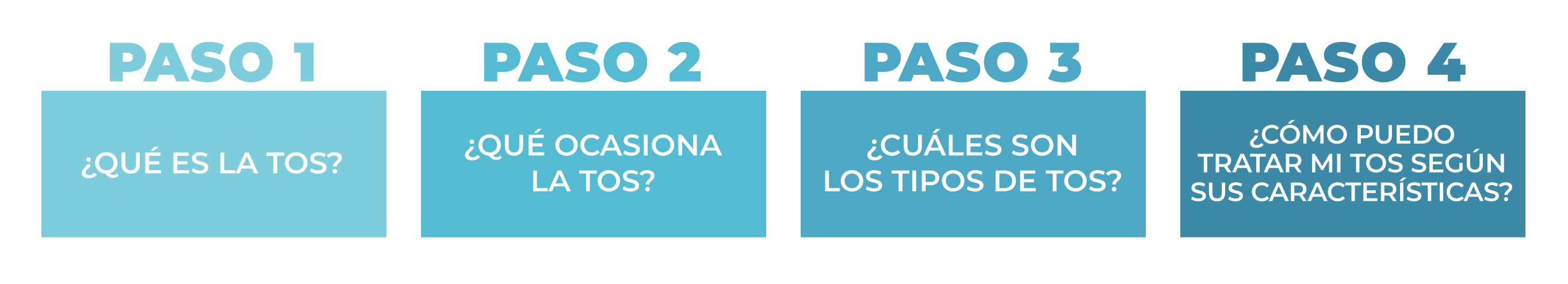 Paso 2